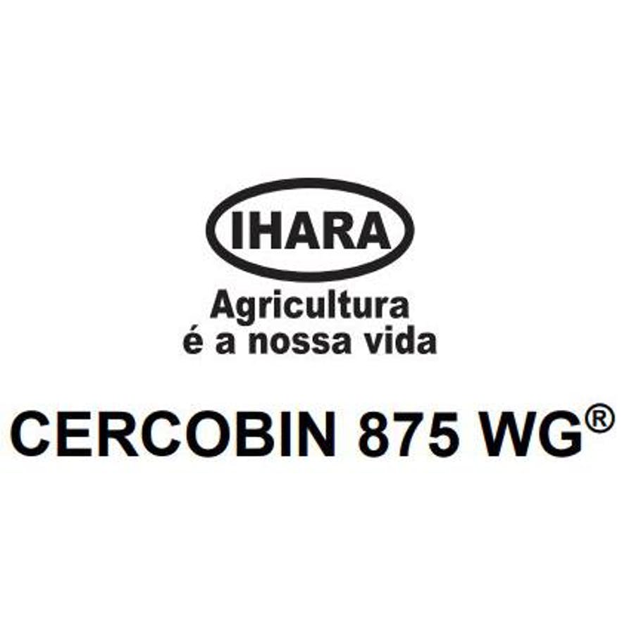 Cercobin 875 WG